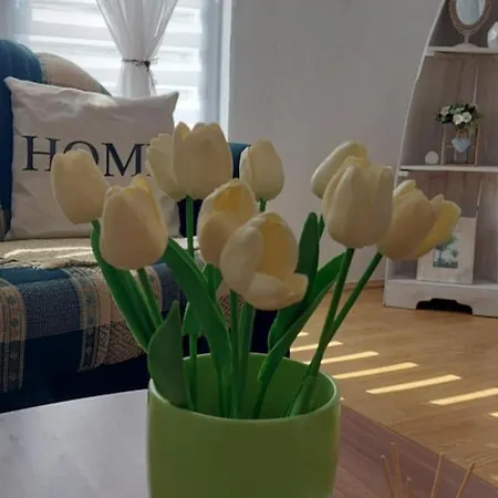 Apartment Nature *